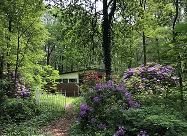 Luxe boshuis met houtkachel en veel privacy - 23