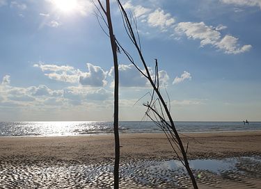 Strandhuisje op het strand bij Vlissingen - 26