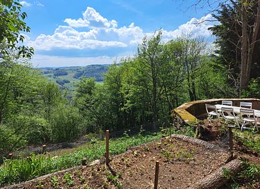 Selbstversorgendes Übernachten im Wald - 21