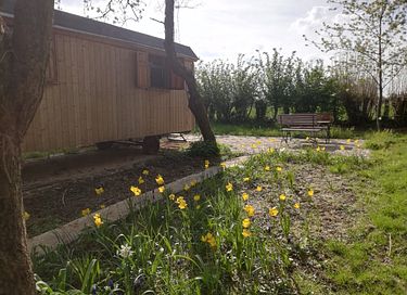 Circus wagon in an orchard - 5