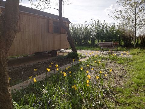 Circus wagon in an orchard - 5