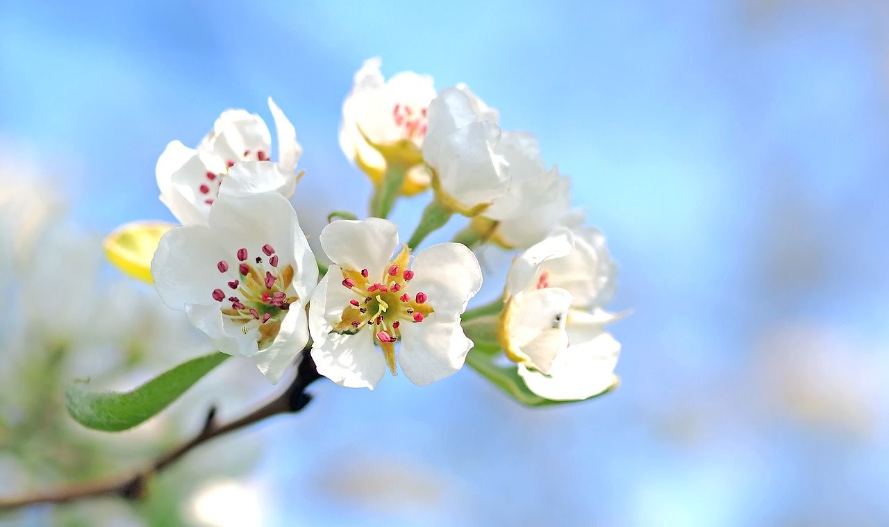 10 Special stays in the May vacations