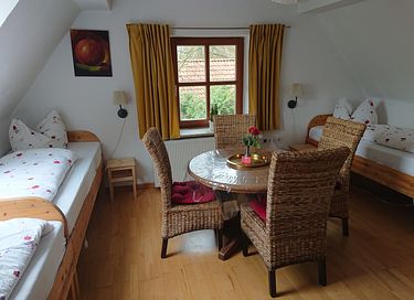Spacious holiday home with a garden on the edge of the forest - 7