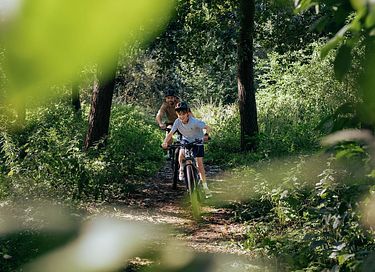 Villa per 4 persone con idromassaggio nella natura - 46