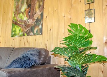 Cozy holiday home on wooded holiday park - 6