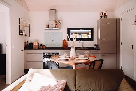 Design huisje op de Veluwe - 5