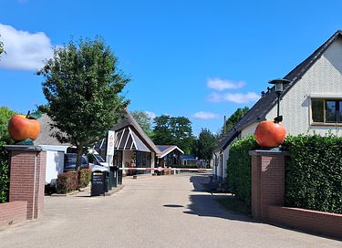 Logement élégant dans la Betuwe - 19