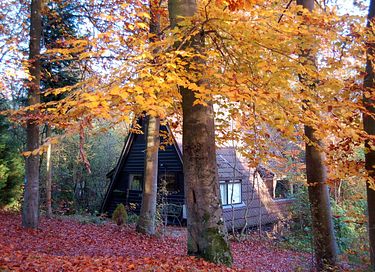 Lodge mit herrlicher Aussicht in den Ardennen