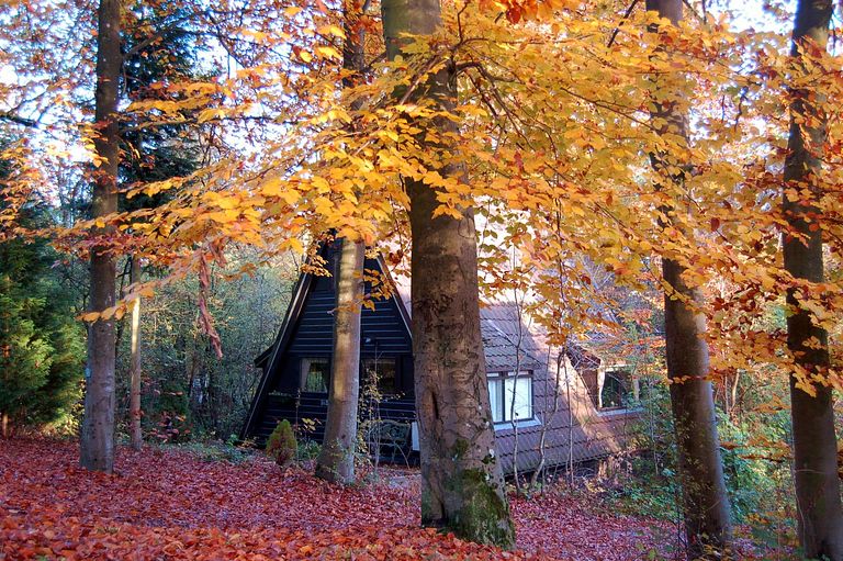 Lodge con vista spettacolare nelle Ardenne - 1