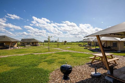 Glamping op akkerbouw en speelboerderij - 4