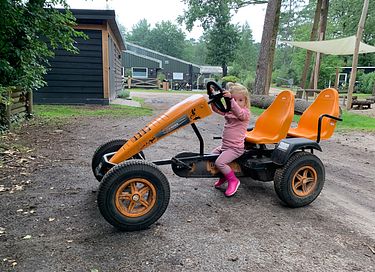 Ruim vakantiehuis in Veluwse bossen - 34