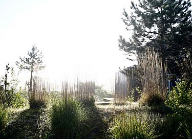Natuurlodge (6-8 persoons) met hot tub - 38