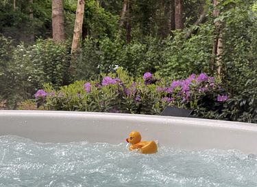 Boshuis met wellness in Drenthe - 4