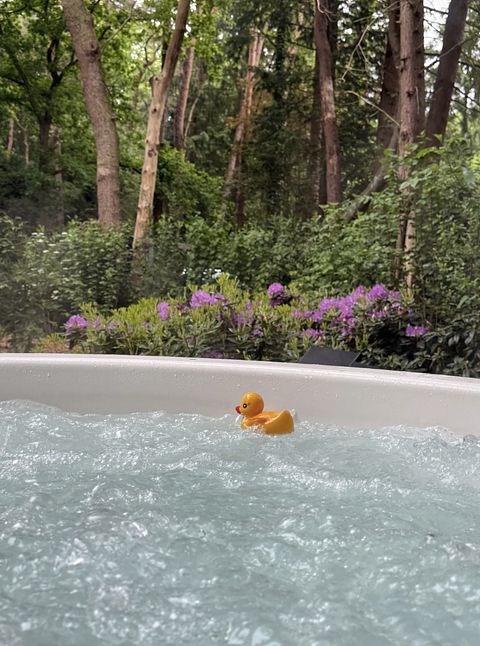 Boshuis met wellness in Drenthe - 4