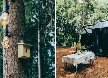 Tiny House met tuin op de Veluwe - 10