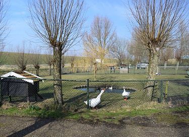 Spacious apartment in the polder of Zeeland - 29