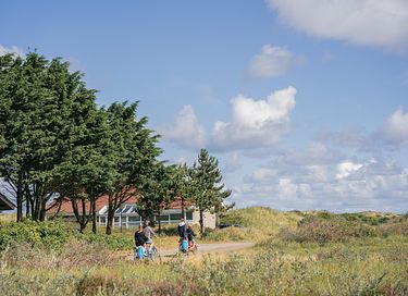 Rustig gelegen familievilla in de duinen - 19