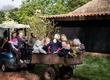 Zelt-Ferienhaus mit Whirlpool auf einem Bauernhof in Drenthe - 46