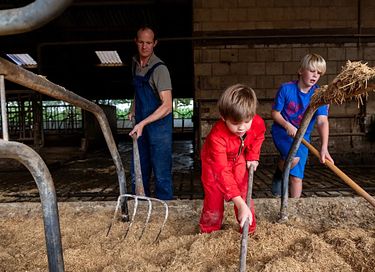 Glamping at Dairy Cattle & Calves Farm - 6