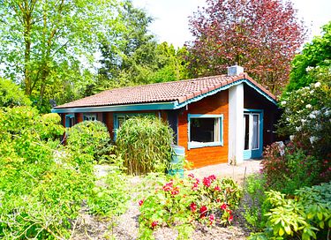 Maison dans la forêt en bois avec jardin spacieux