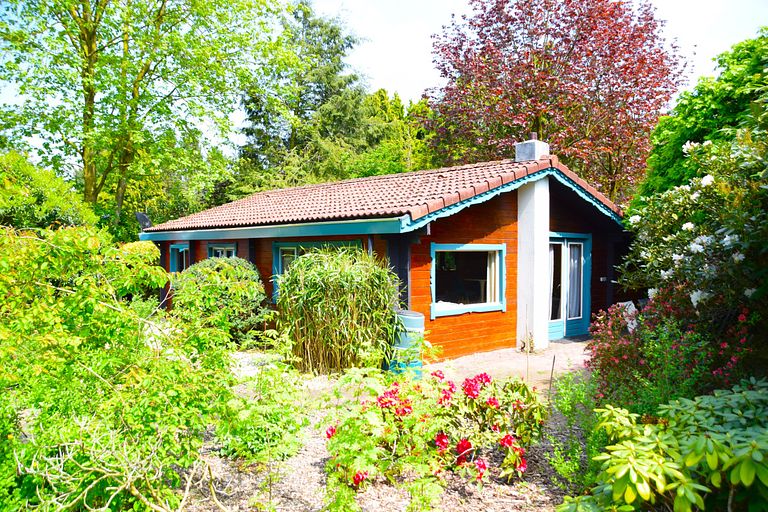 Maison dans la forêt en bois avec jardin spacieux - 1