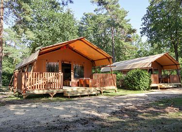 Luxury safaritent on the Veluwe