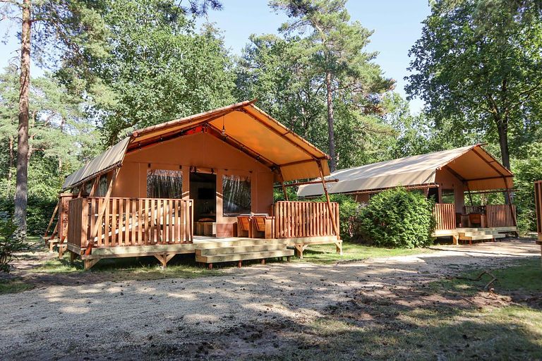 Luxury safaritent on the Veluwe - 1