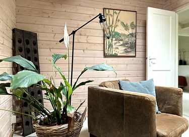 Uniquely situated nature house in Amsterdam - 13
