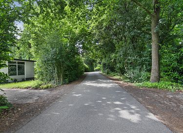 Bungalow in wooded area (fenced garden) - 12