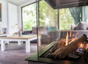 Boslodge op de Veluwe (huisdiervriendelijk) - 2