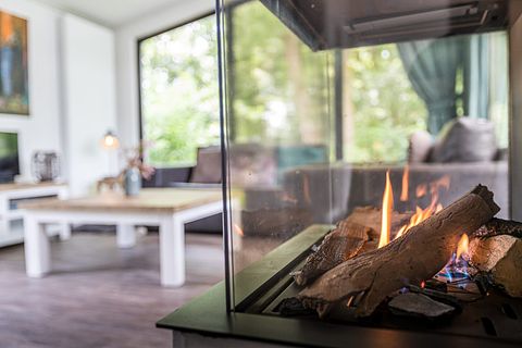 Boslodge op de Veluwe (huisdiervriendelijk) - 2