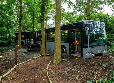 Uniek overnachten in een harmonica bus - 1