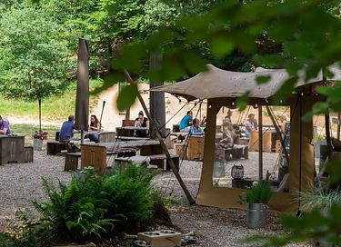 Beautiful forest cabin in small vacation park - 29