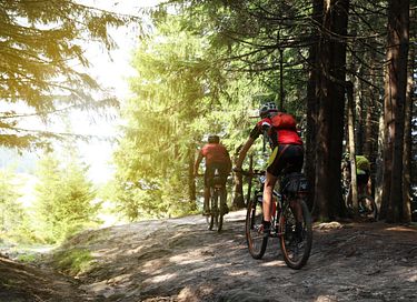 Sfeervol verblijf voor 2 in de Ardennen - 25