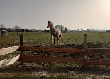 Séjour dans une cabane de berger à la ferme - 16