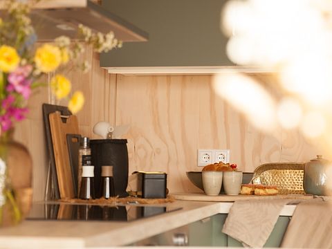 Logement de vacances spacieux sur la côte néerlandaise - 4