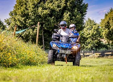 Glamping dans une ferme équestre et laitière - 26