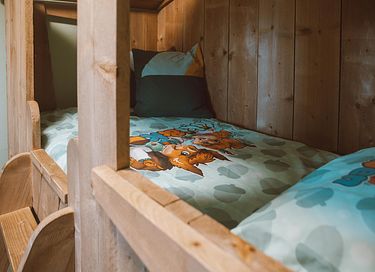 Kinderfreundliche Ferienwohnung in Gelderland - 9