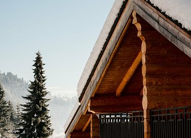 Luxe chalet met bergzicht in Oostenrijk - 16