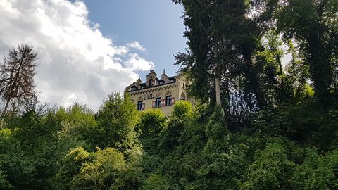 Familiekamer in prachtig Limburgs kasteel - 2