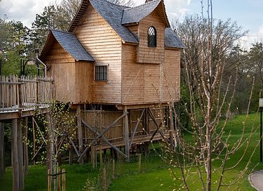 Magisch verblijf in een boomlodge - 33