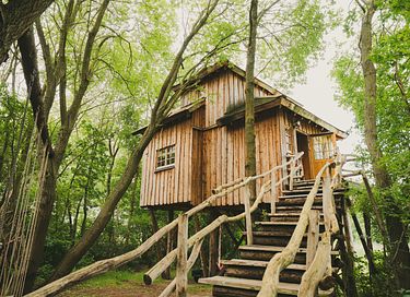 De ultieme boomhut belevenis  - 22