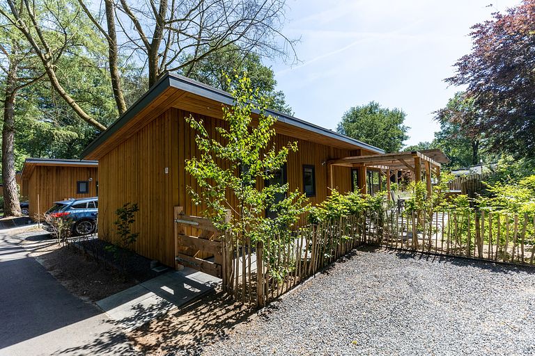 Dog-friendly wellness lodge in the Veluwe region - 1
