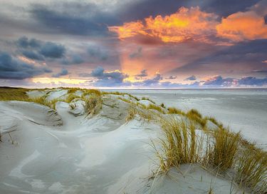 Gîte romantique avec vue sur le Texel - 27