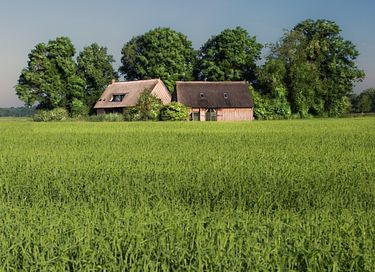 Nuitée unique dans un gîte à Drenthe - 2