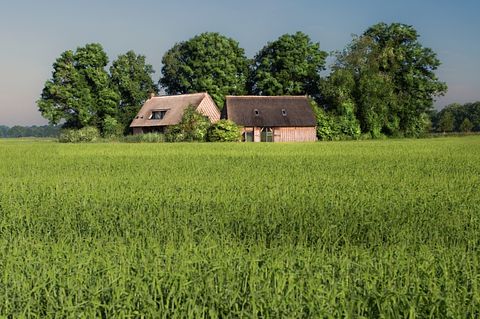 Nuitée unique dans un gîte à Drenthe - 2