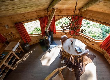 Prachtige boomhut in de Belgische natuur - 6