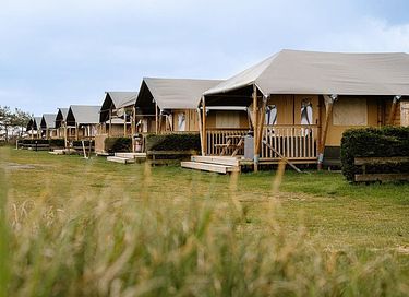 Prachtige familiecamping op Ameland - 10