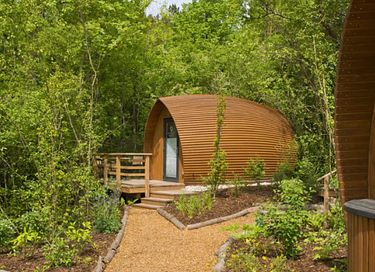 Leuke pod midden in een natuurgebied - 6