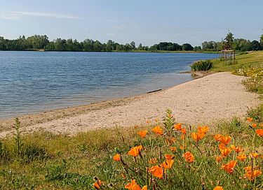 Holiday Home in a Farmhouse by the Water - 5